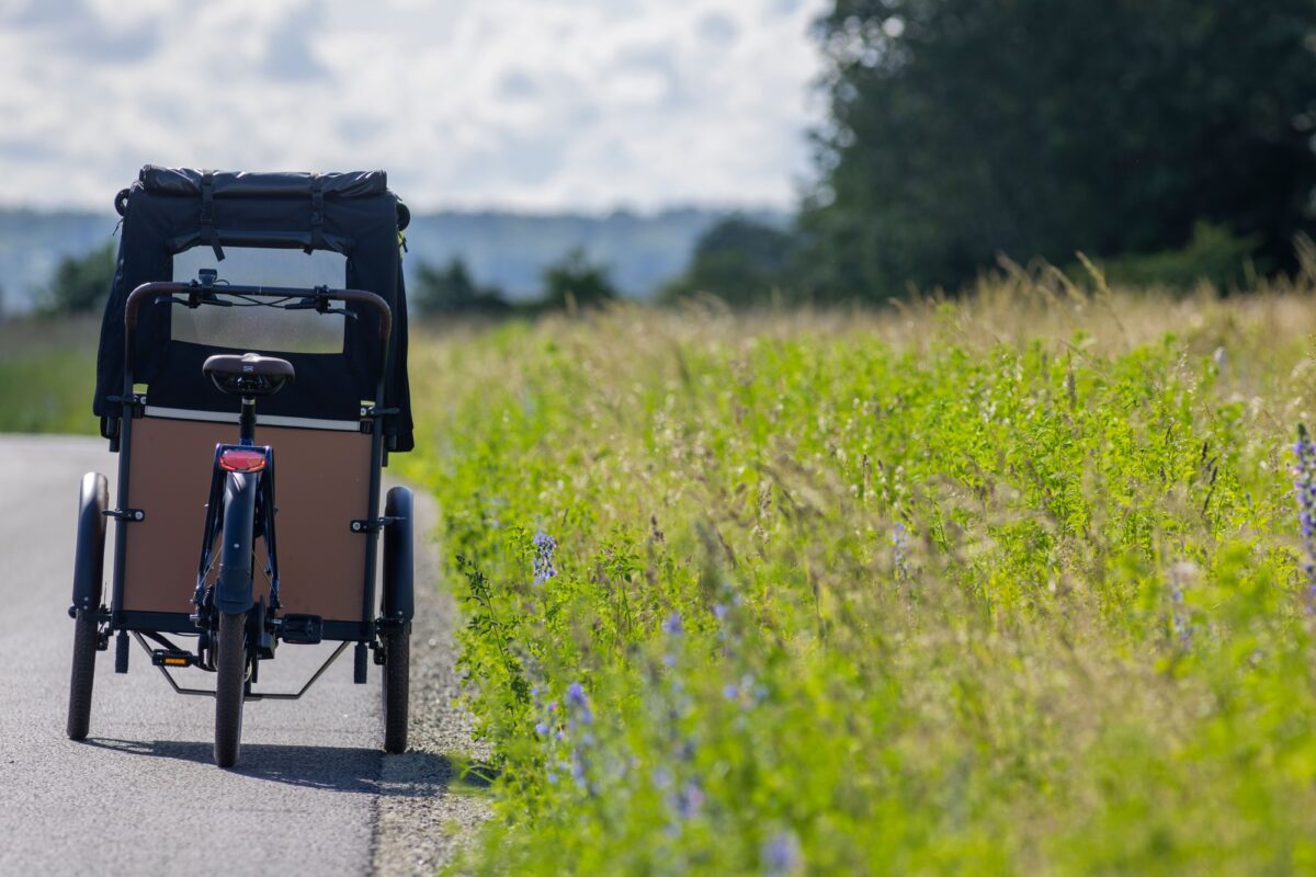 Close-up of a cargo bike parked on rural road near grassy field on sunny day