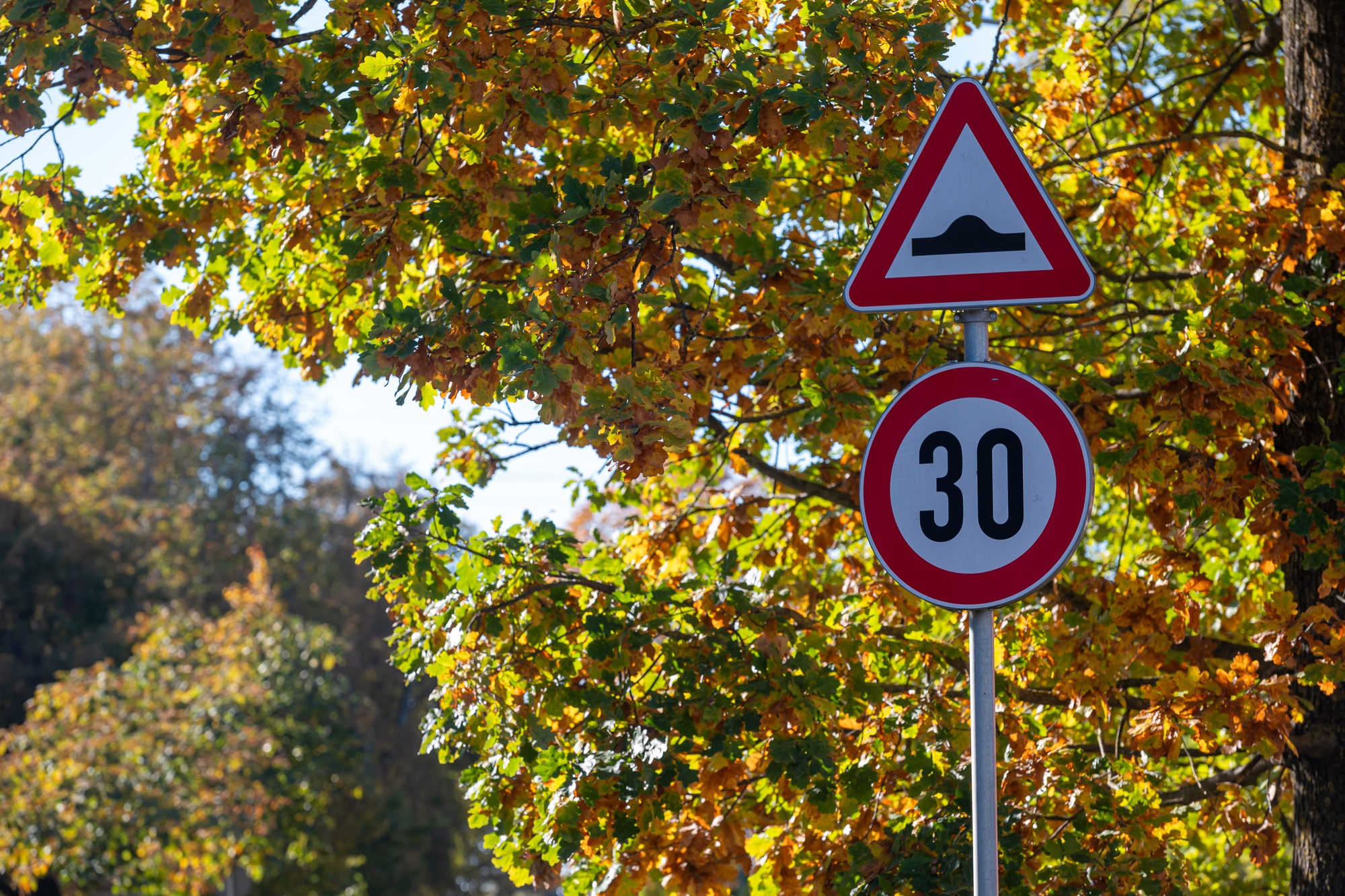 Panneaux routiers signalant les ralentisseurs et les limitations de vitesse près d'une rue bordée d'arbres en automne